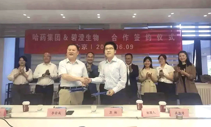 哈药携手清华大学，强强联合共创胶原蛋白行业未来